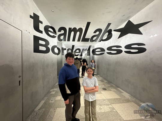 Teamlab Borderless Tokyo-港区必去景点