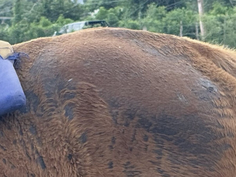 Chukka Seville Outpost-Priory必去景点