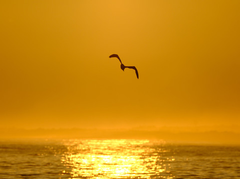 Smart Galapagos-阿约拉港必去景点