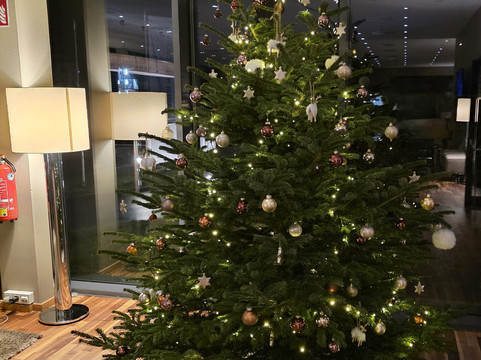 卢森堡莱嘎尔高级酒店主图