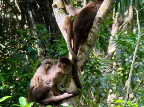 Rebecca Adventure Travel-阿约拉港必去景点