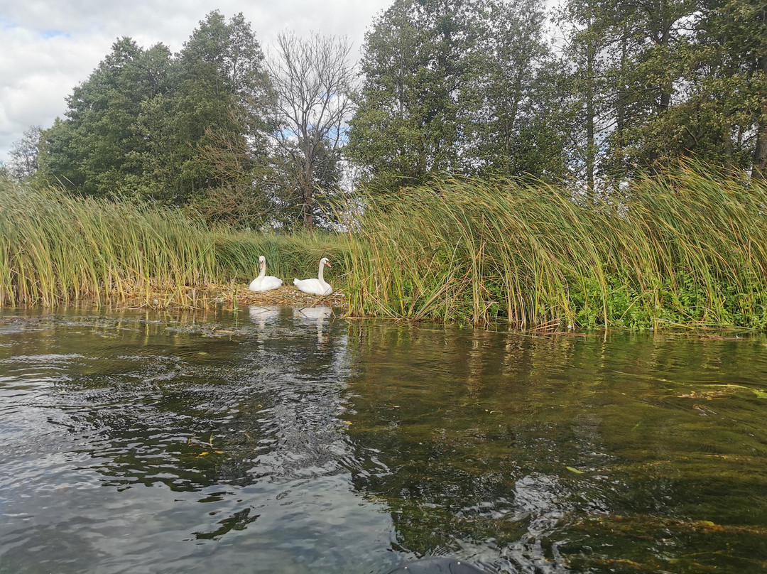 AS-TOUR - Kayaking Czarna Hancza & Rospuda-Mackowa Ruda必去景点