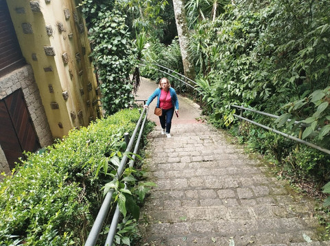 Bosque Alemão-库里提巴必去景点