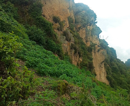 Cara del Inca-Ingapirca必去景点