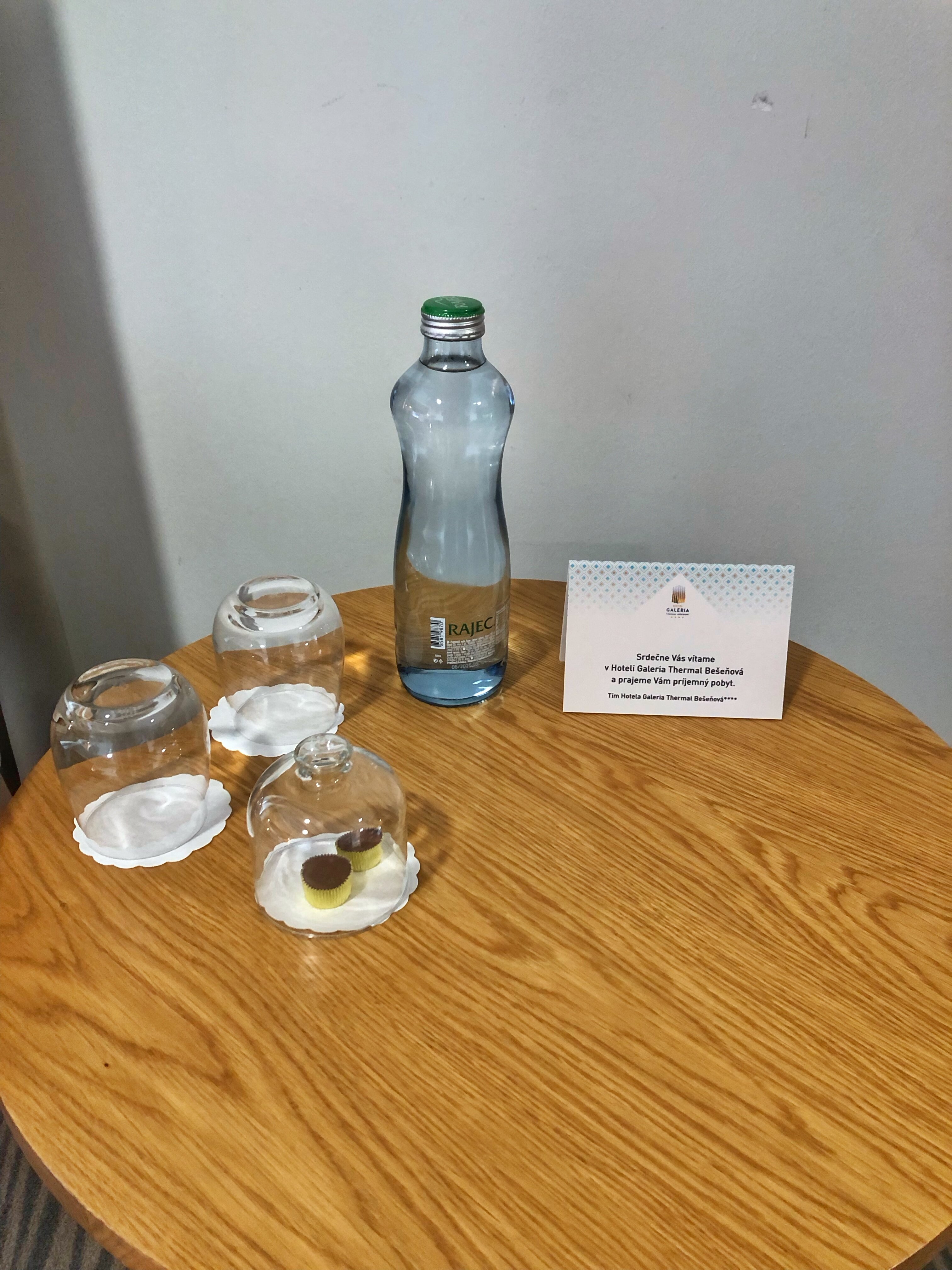 贝谢诺瓦画廊温泉浴酒店-客卧