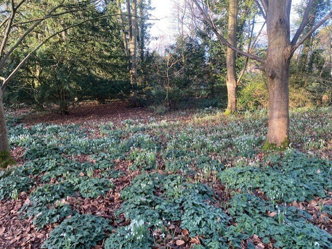 安格尔西修道院-Lode必去景点