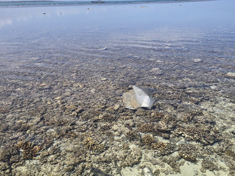 Isla Iguana-La Villa de los Santos必去景点