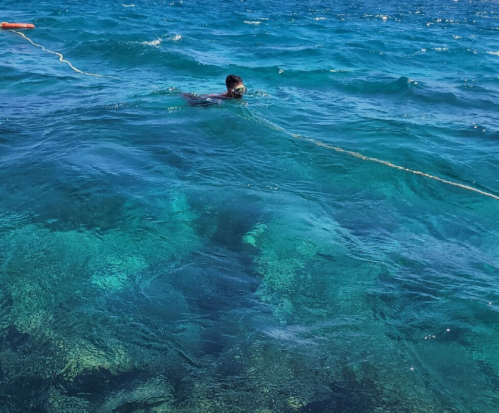 Frankie Tours & Rentals-Mount Irvine必去景点