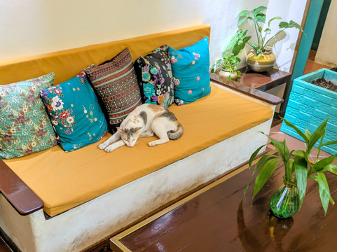 The Old Royal Cinema-贡布必去景点