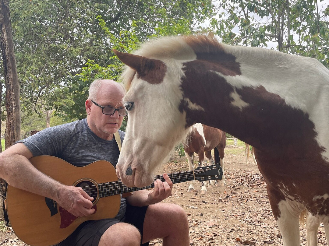 Horse Spirit Healing-Cabuya必去景点