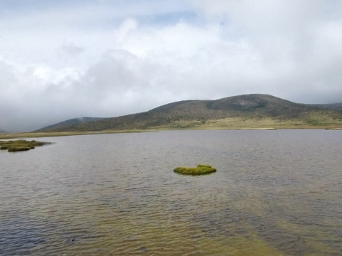 Laguna de Limpiopungo-拉塔昆加必去景点