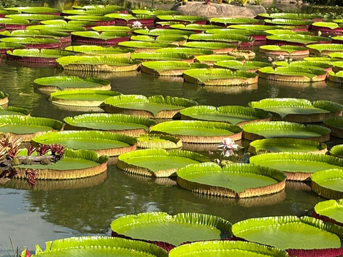 La Rinconada Ecoparque & Resort-圣克鲁斯省必去景点