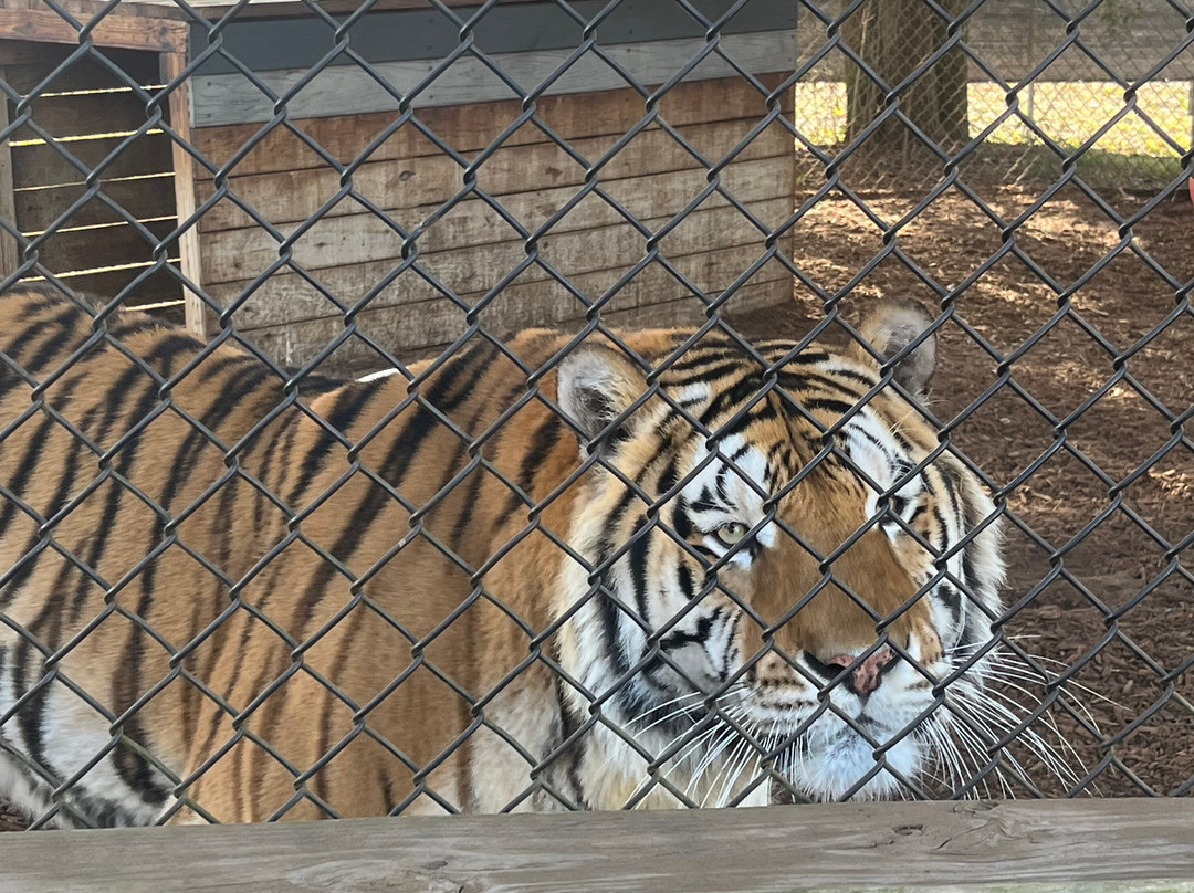 Central Florida Animal Reserve-圣克劳德必去景点