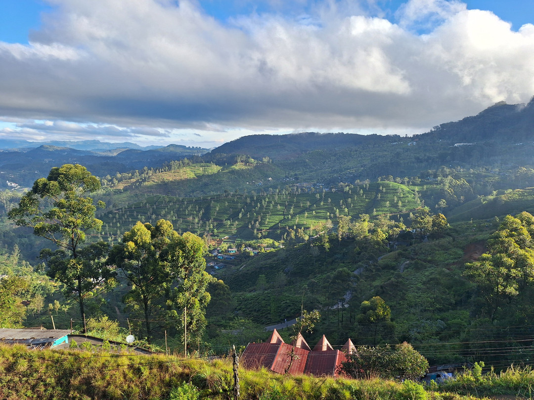 奥林巴斯广场酒店主图