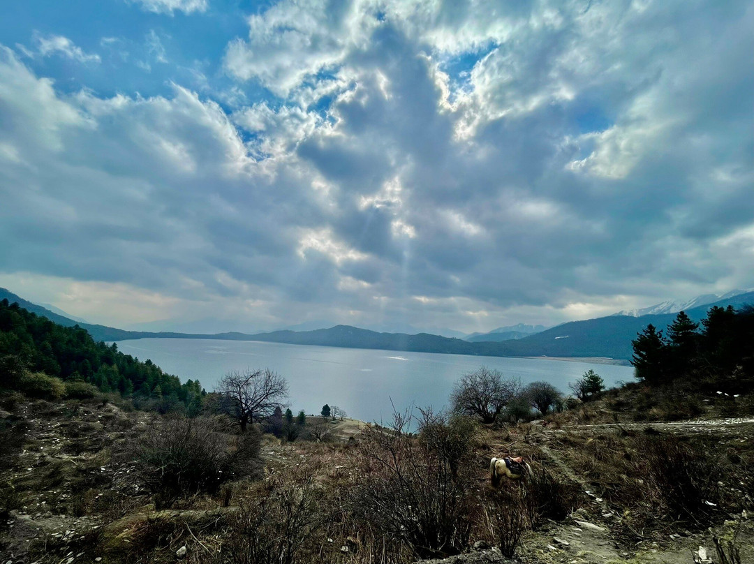 Rara Lake-Rara National Park必去景点