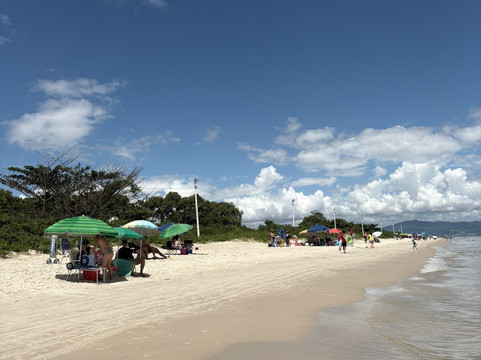 Daniela's Beach-弗洛里亚诺波利斯必去景点