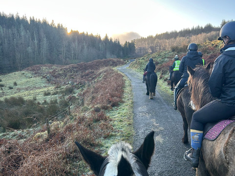 Bespoke Equestrian Ireland-都柏林必去景点