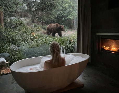 Zoo de La Fleche-La Fleche必去景点