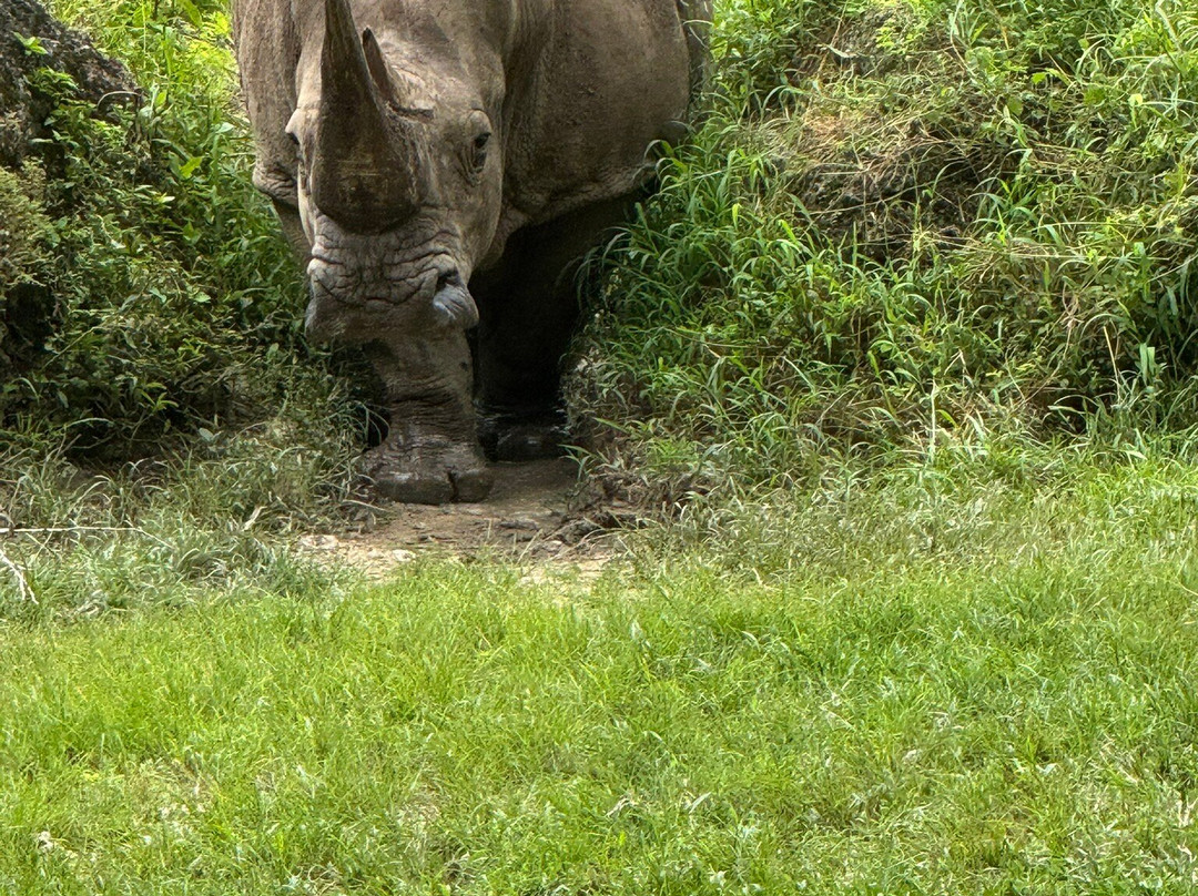 National Zoological Park-圣多明哥必去景点