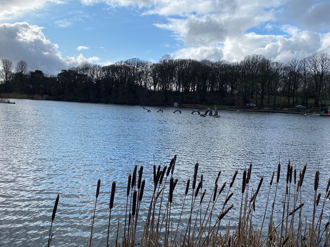 Llandrindod Wells Lake Park-兰德林多德威尔斯必去景点