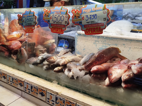 Central Market (Mercado Central)-圣何塞必去景点