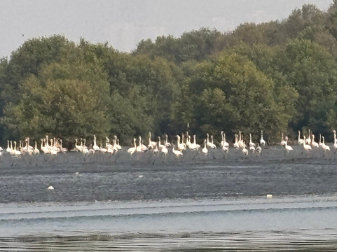 Wildnest Travel & Photography-孟买必去景点