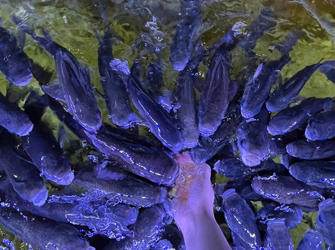 Lyme Regis Marine Aquarium-莱姆里杰斯必去景点