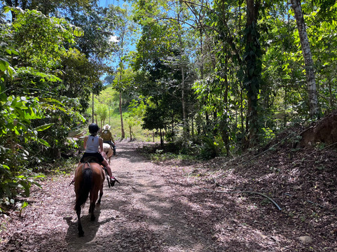 Hacienda La Colinas Ranch-帕利塔必去景点