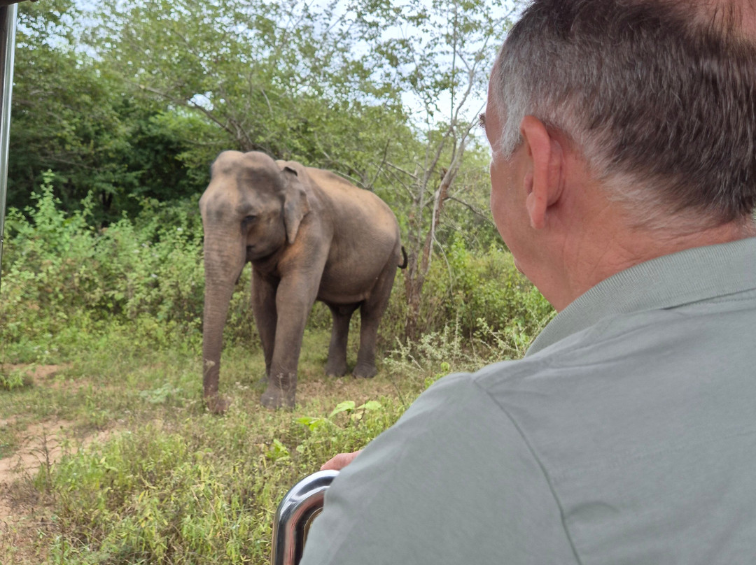 Muthu Sri Lanka Tours-加勒必去景点