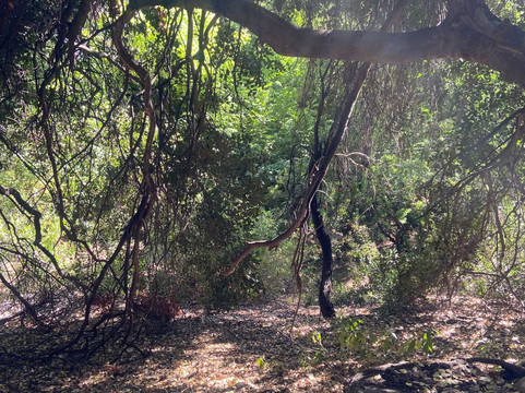 Refugio Animal Cascada-圣若泽迈坡必去景点