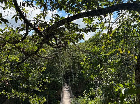 Fazenda Ceita Core-博尼图必去景点