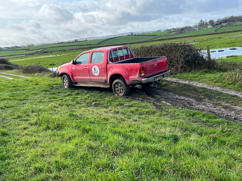 WWT Steart Marshes-布里奇沃特必去景点