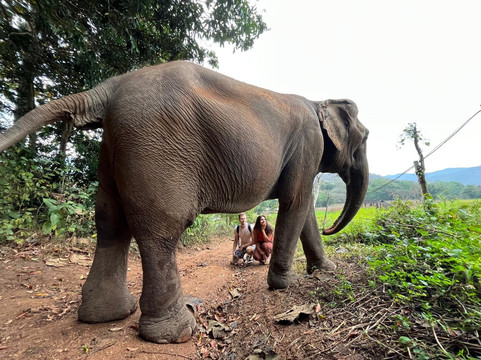 Loolu Tour - Private Day Tours-清迈必去景点