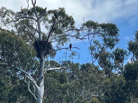 Navigate Expeditions-塔斯拉必去景点