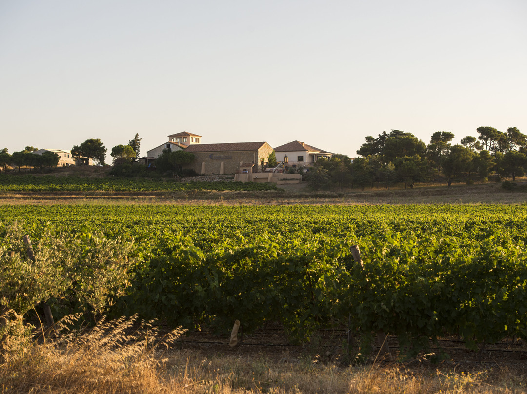 Chateau Camplazens-Armissan必去景点