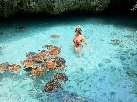 Zan African Tours By Polepole-孥归必去景点