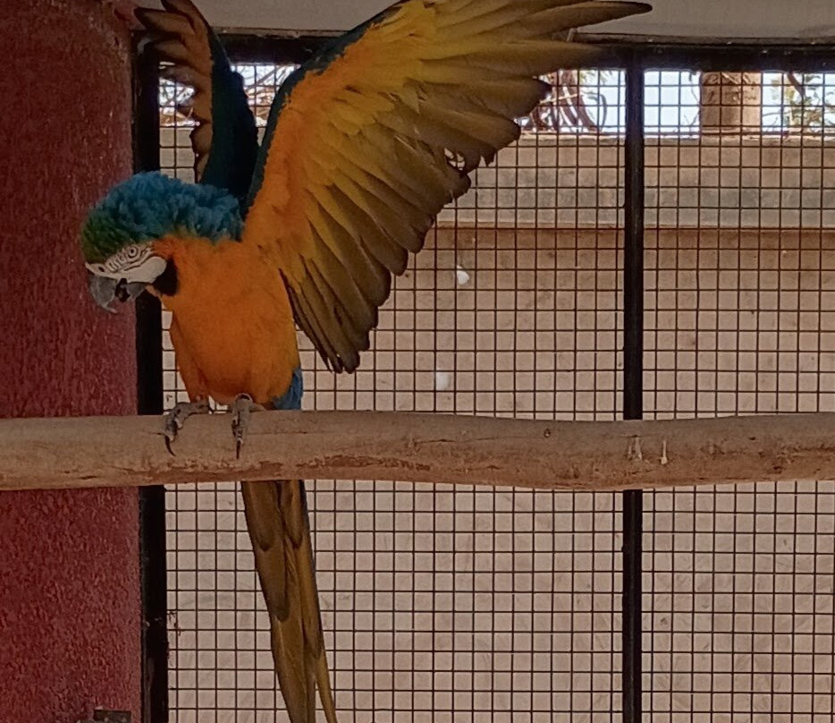 Parc Exotique Du Sénégal-恩加帕鲁必去景点