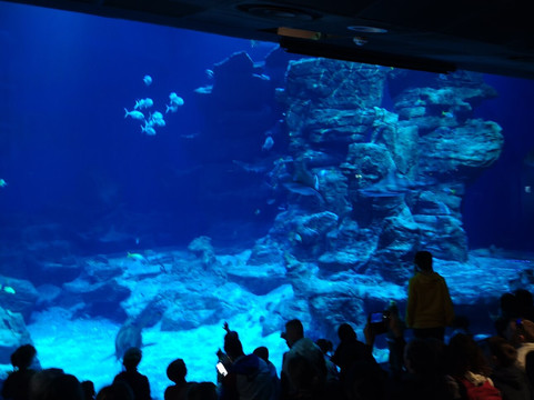 Planet Ocean Montpellier-蒙彼利埃必去景点