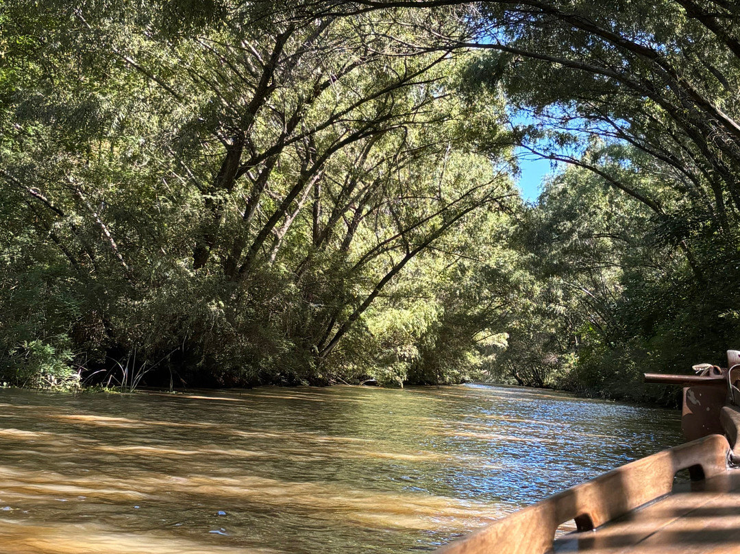 Delta Unplugged-蒂格雷必去景点