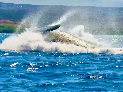 Liquid Hawaii-普阿克必去景点