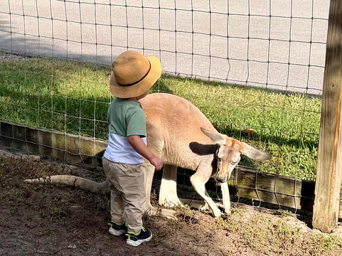 Animal Edventure Park-博因顿海滩必去景点