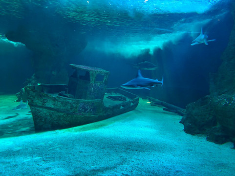 Océarium Du Croisic-Le Croisic必去景点