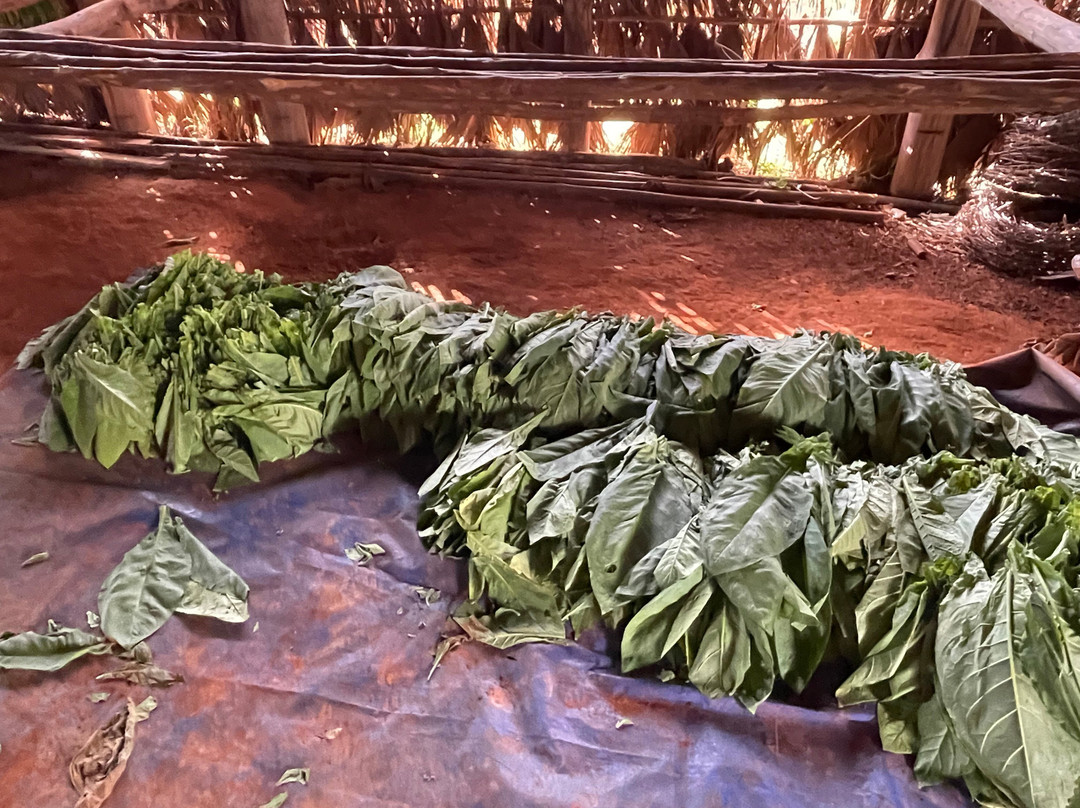 Discover Vinales-维纳勒斯必去景点