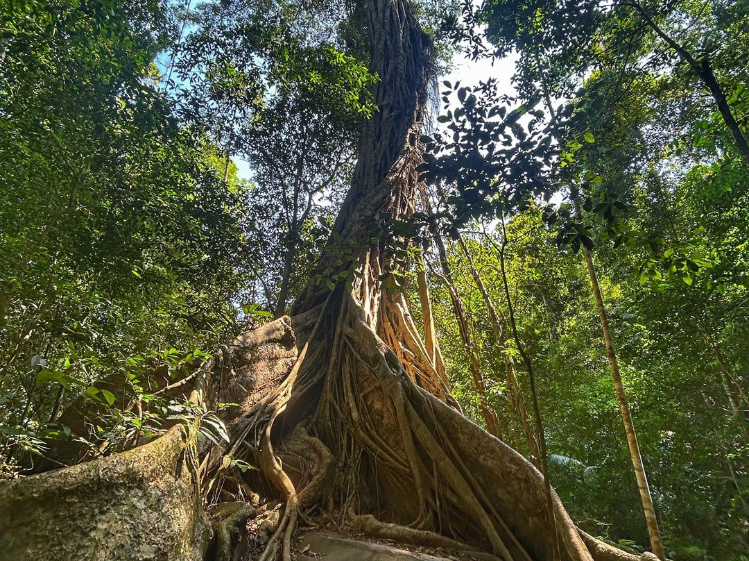 Haew Narok Waterfall-考艾国家公园必去景点