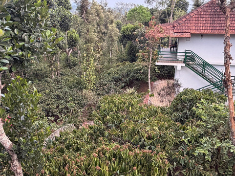 苏维斯塔拉瓦亚纳德酒店主图