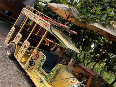 Bodega Y Viñedo Sotelo-伊卡必去景点