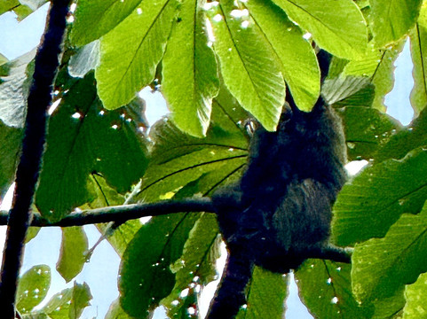 La Tierra Del Encanto-Isla Bastimentos必去景点