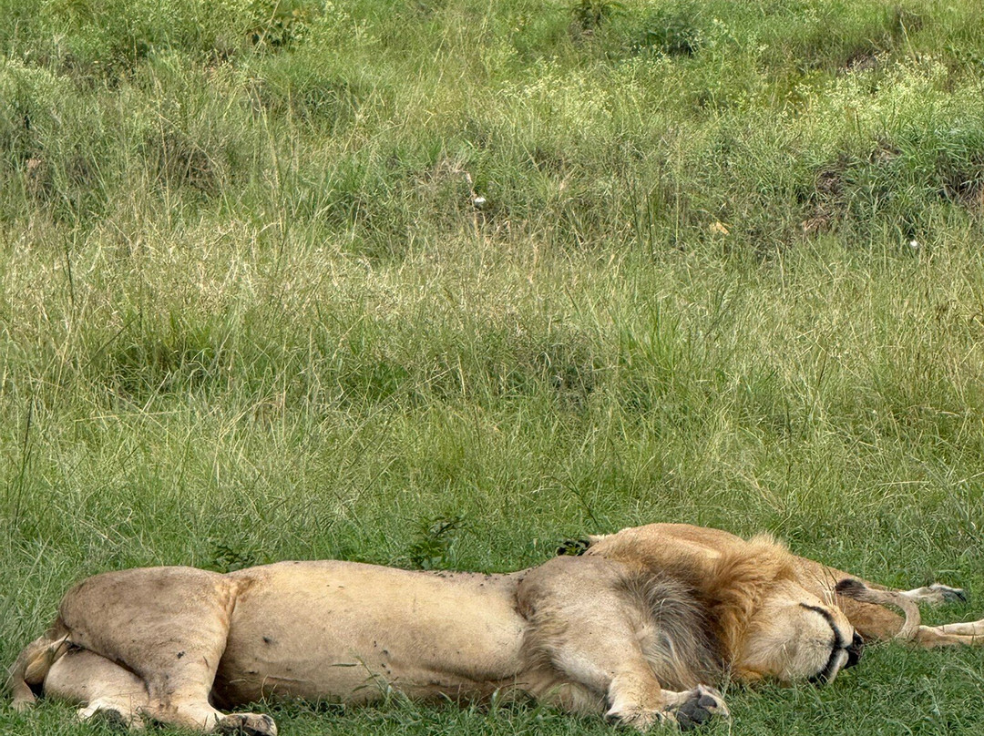 Extra Miles Unique Adventures-Sekenani必去景点