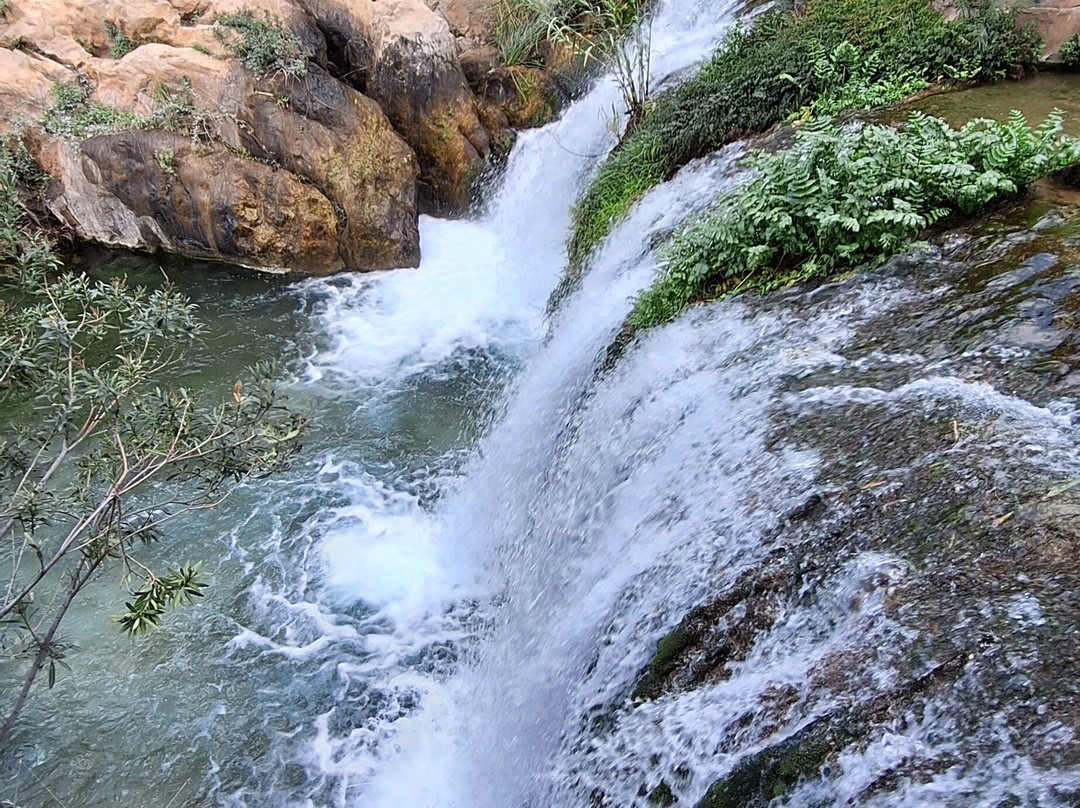 l'Algar Waterfalls-Callosa d'En Sarria必去景点