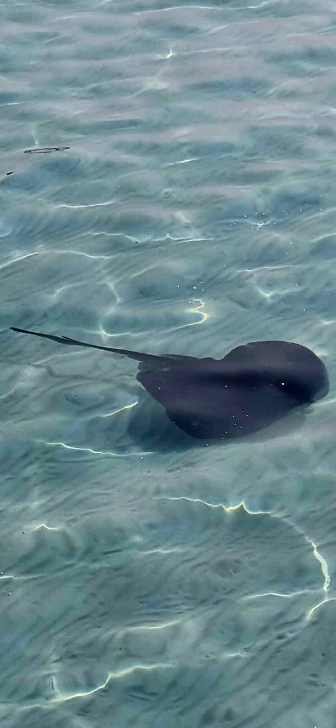 Cora Cora Maldives-官方